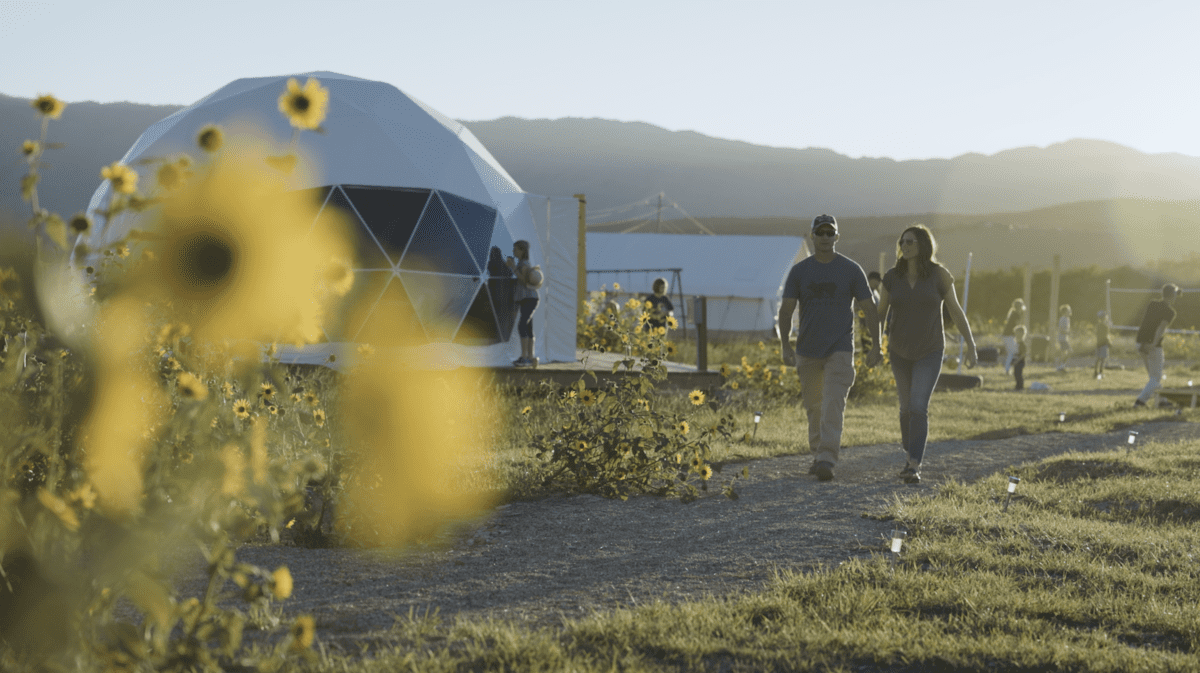 A couple walk through golden hour at Little Village Retreat. 